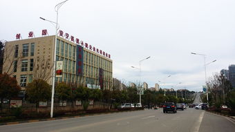 云南省農(nóng)業(yè)科學(xué)院科技產(chǎn)品電子商務(wù)營(yíng)銷(xiāo)中心成立
