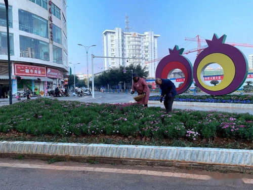 縣城管局扎實(shí)做好春節(jié)期間城市運(yùn)行保障工作